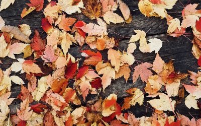 Herbst-Impres­sionen am Klavier 2019